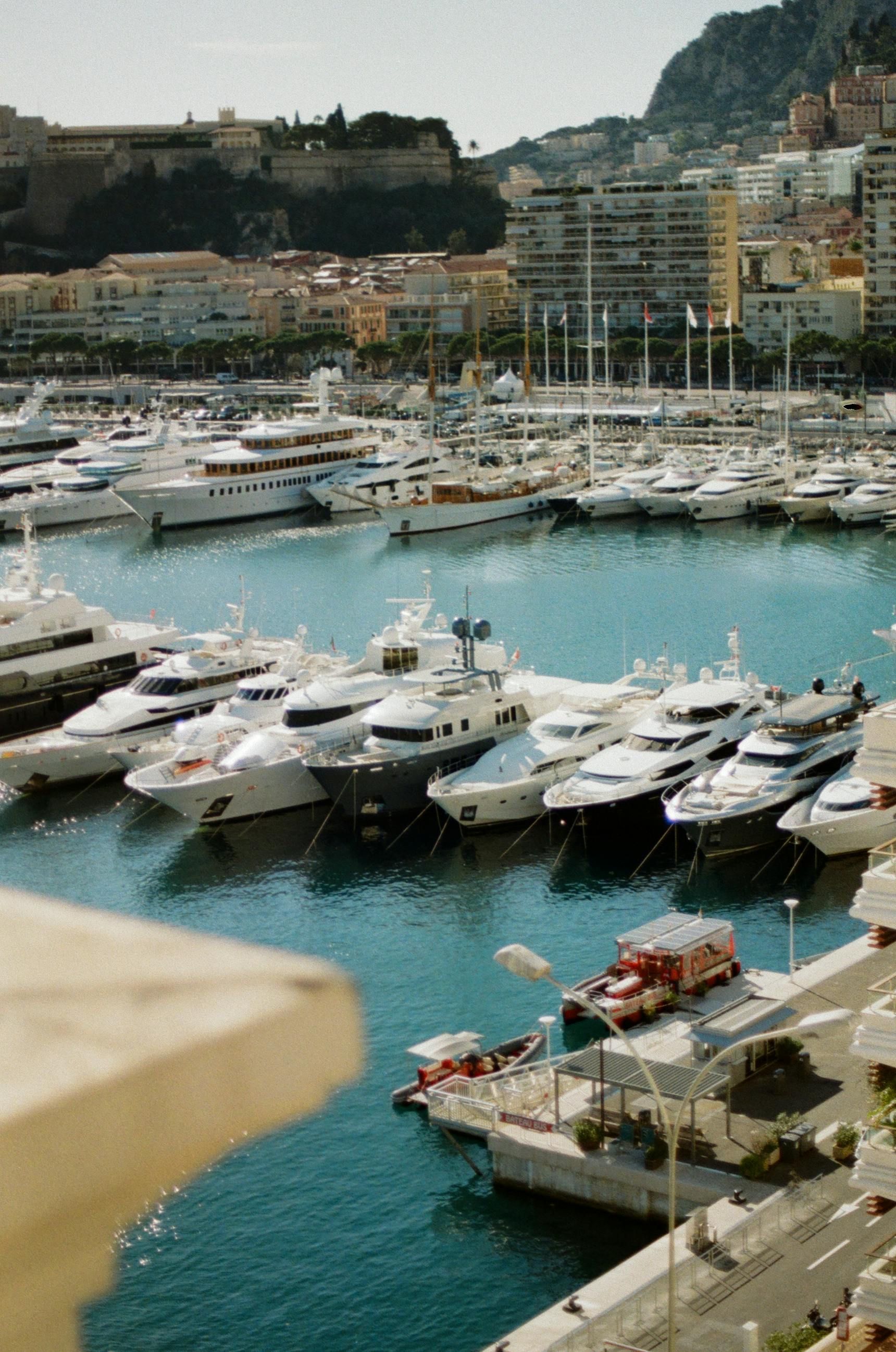 Harbor filled with white yachts, buildings in the background, a sunny day. MOnaco