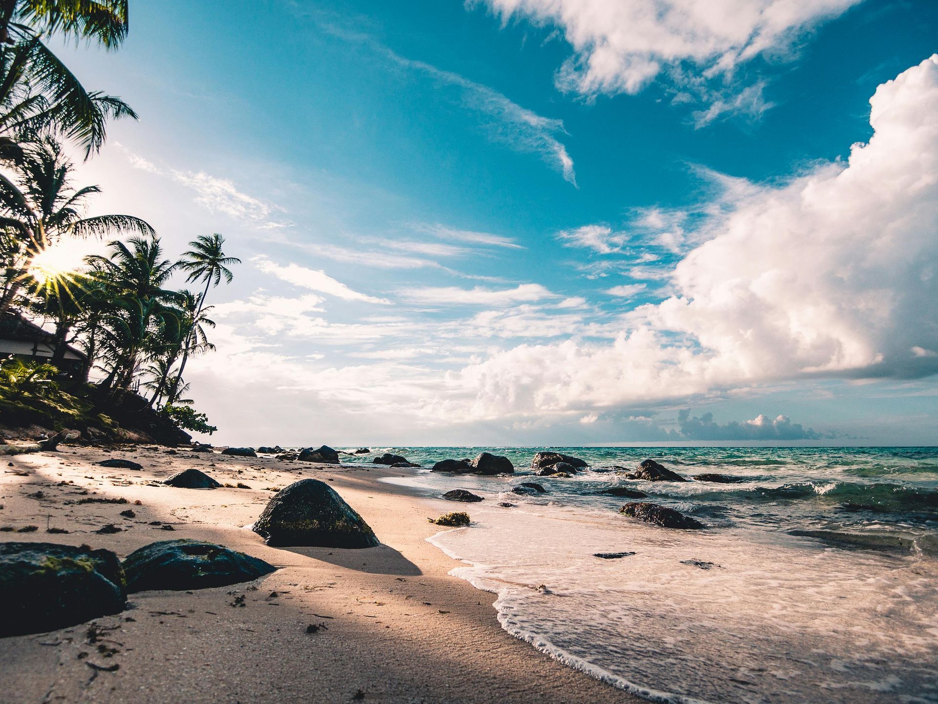 The Caribbean
