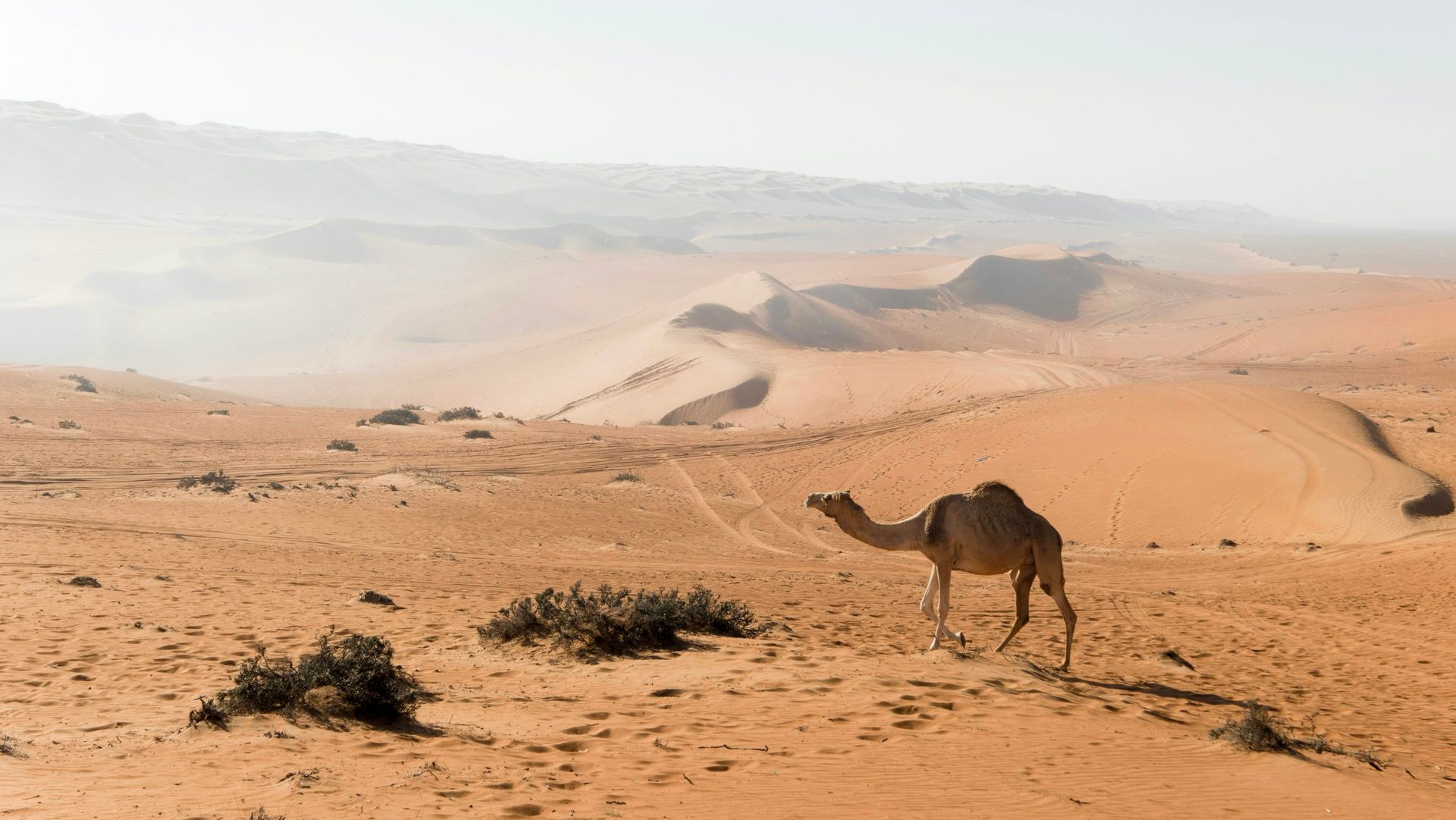 OMAN