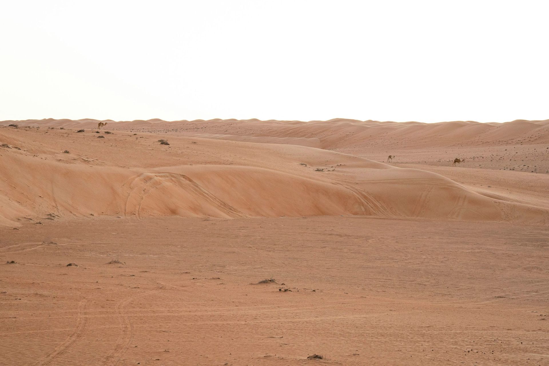 Oman