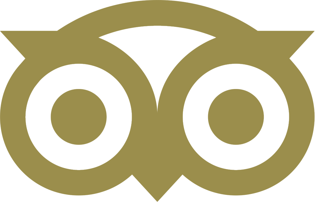 icone tripadvisor