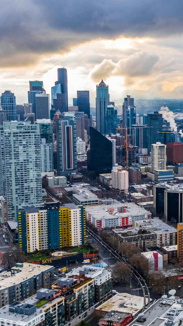 City skyline with tall modern skyscrapers under a cloudy sky, viewed from above.