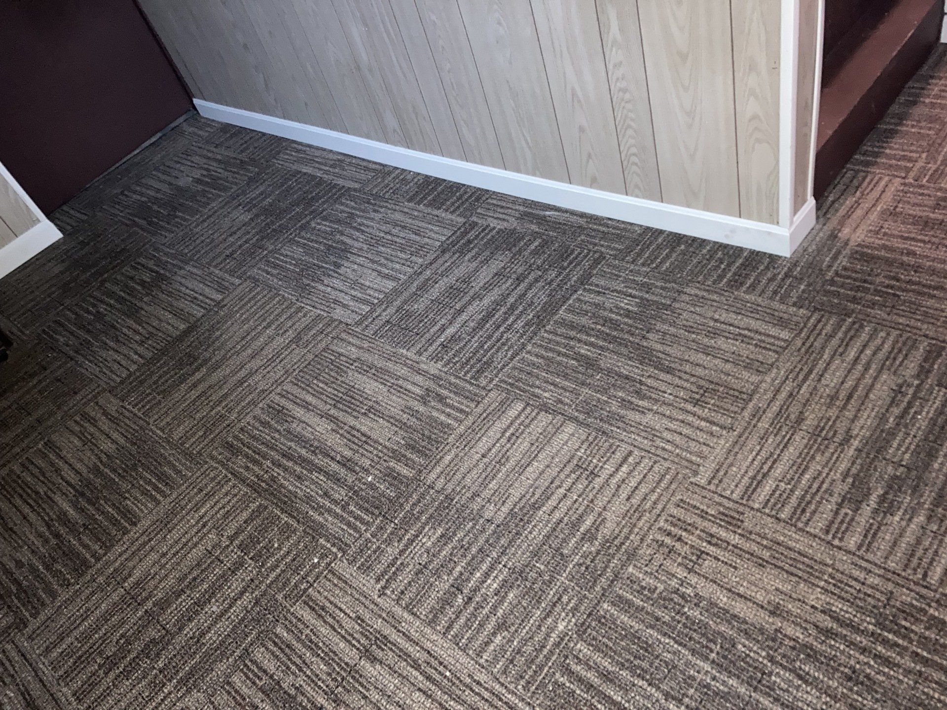 A close up of a carpeted floor in a room.