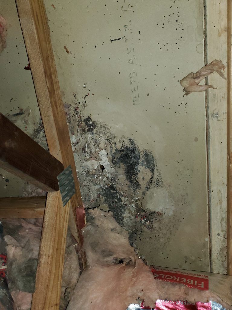 A water damaged room with a box that says emergency on it