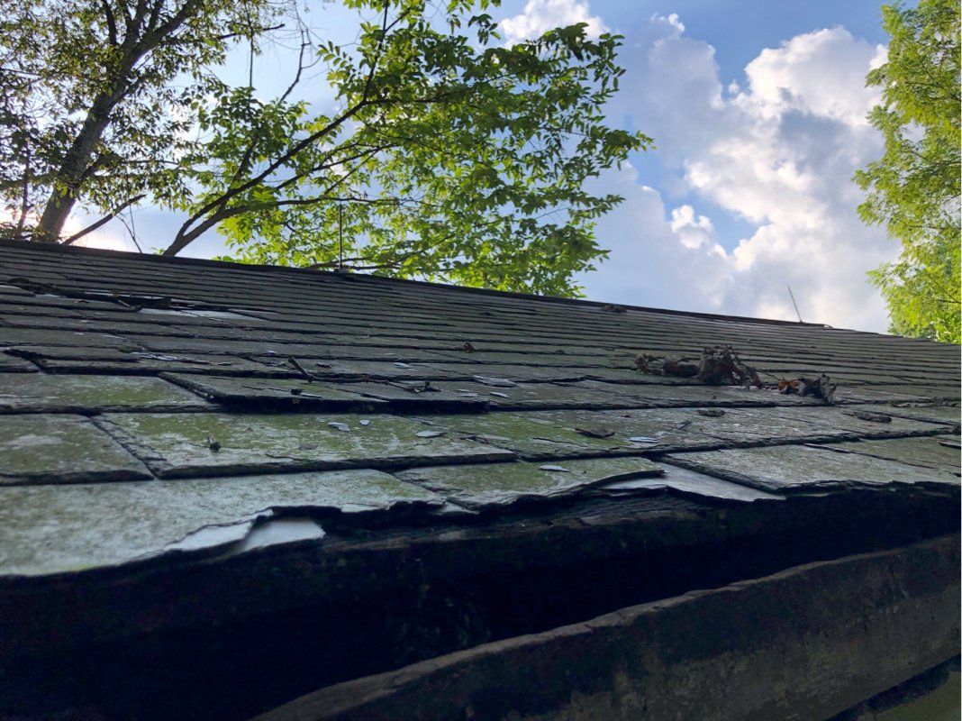 A roof damaged by falling tree. 