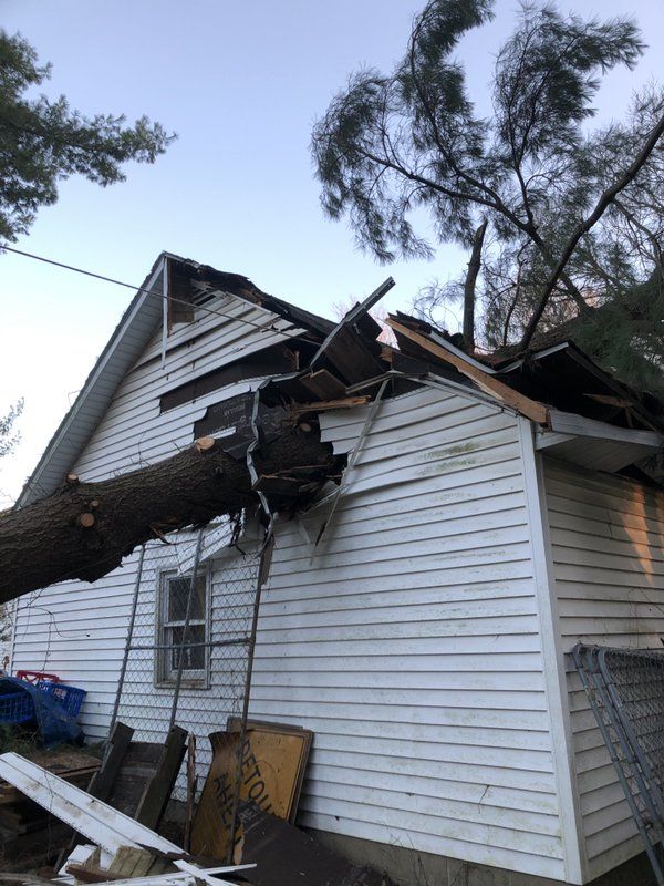 Tree fallen on through the roof of the barn, taking out the roof and some of the siding.
