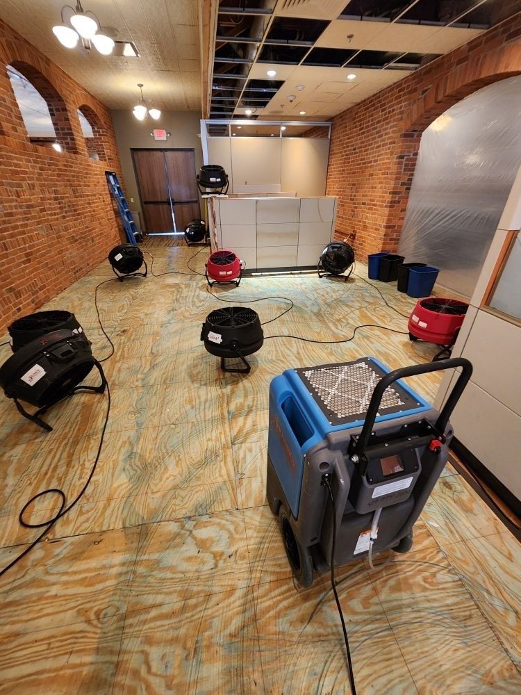 A room with a lot of industrial fans on the floor.
