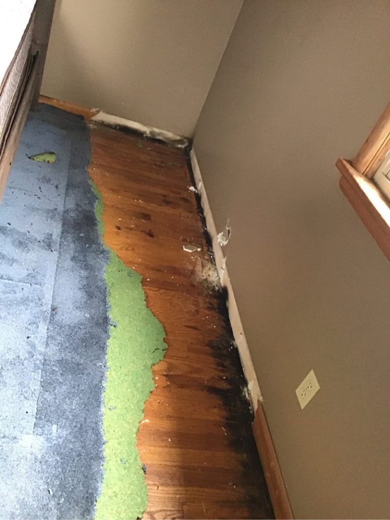 A room with a wooden floor and a carpet on it.
