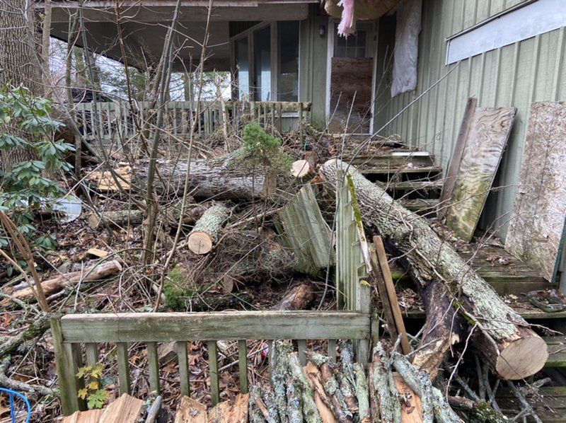 Fallen tree debris right outside the walls of the home.