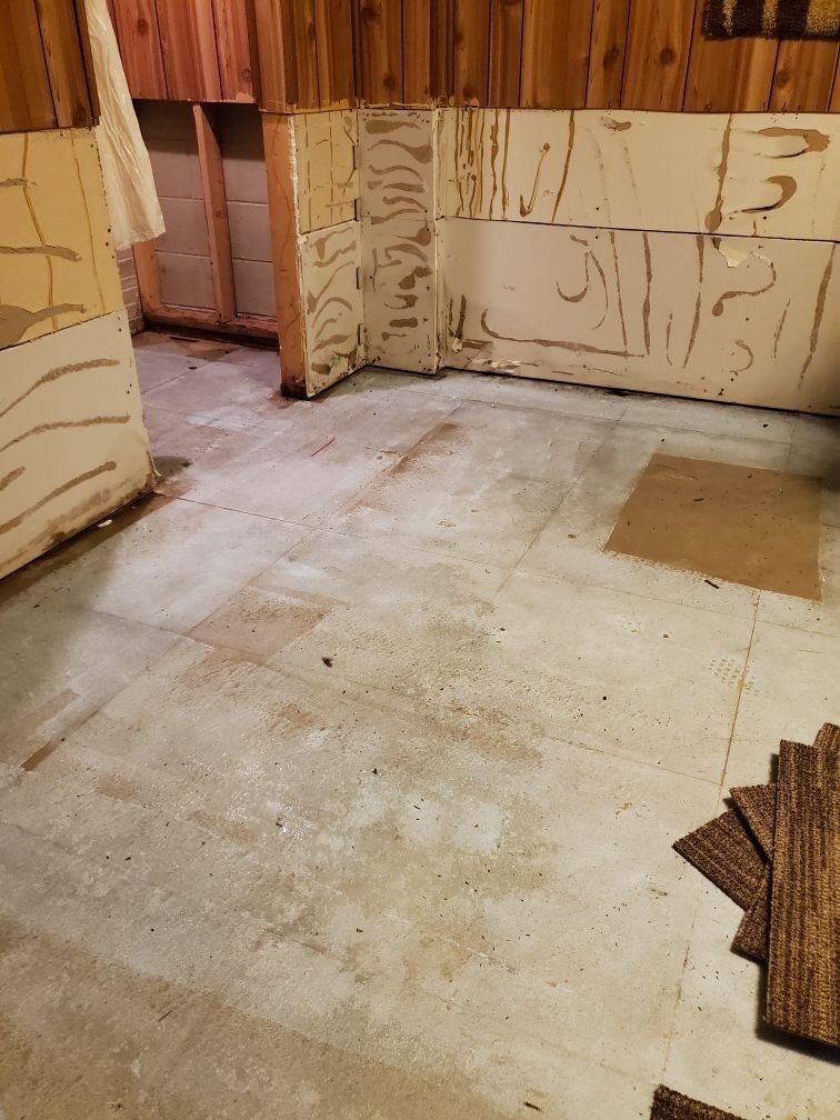 A room with a concrete floor and wooden walls.