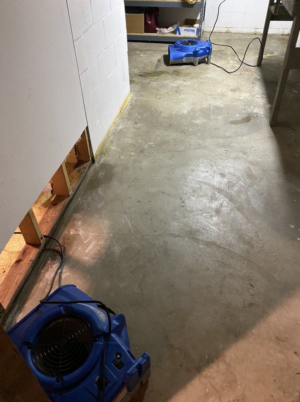A blue vacuum cleaner is sitting on the floor of a basement.
