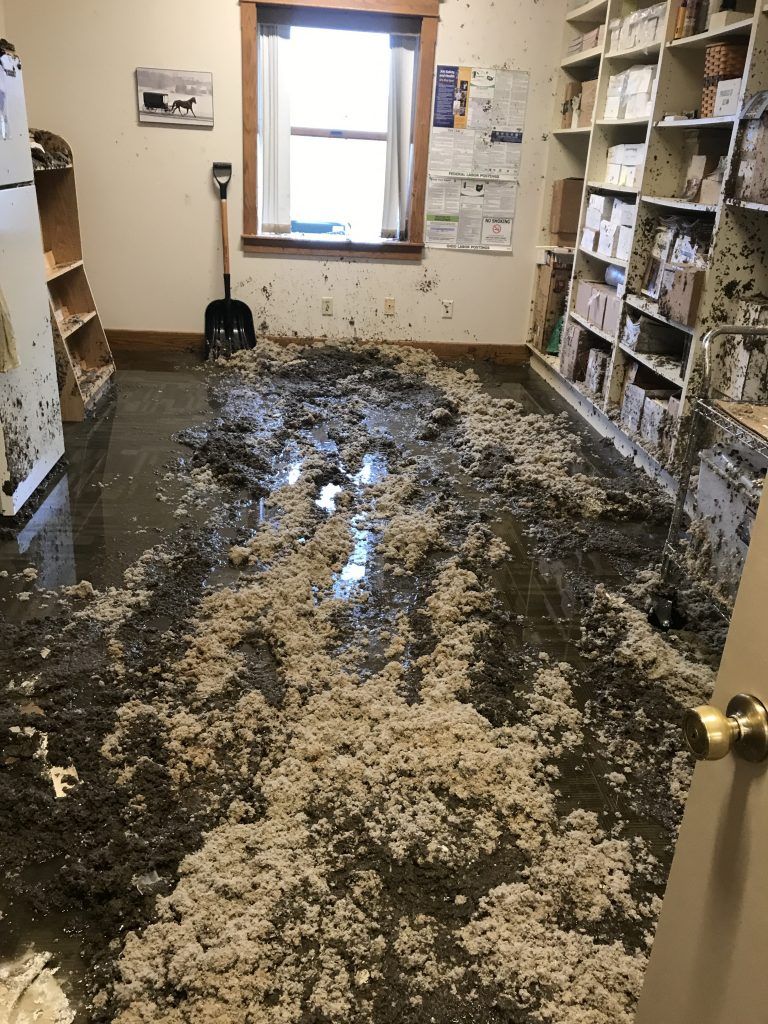 A water damaged room with wet floor and bookshelves. 