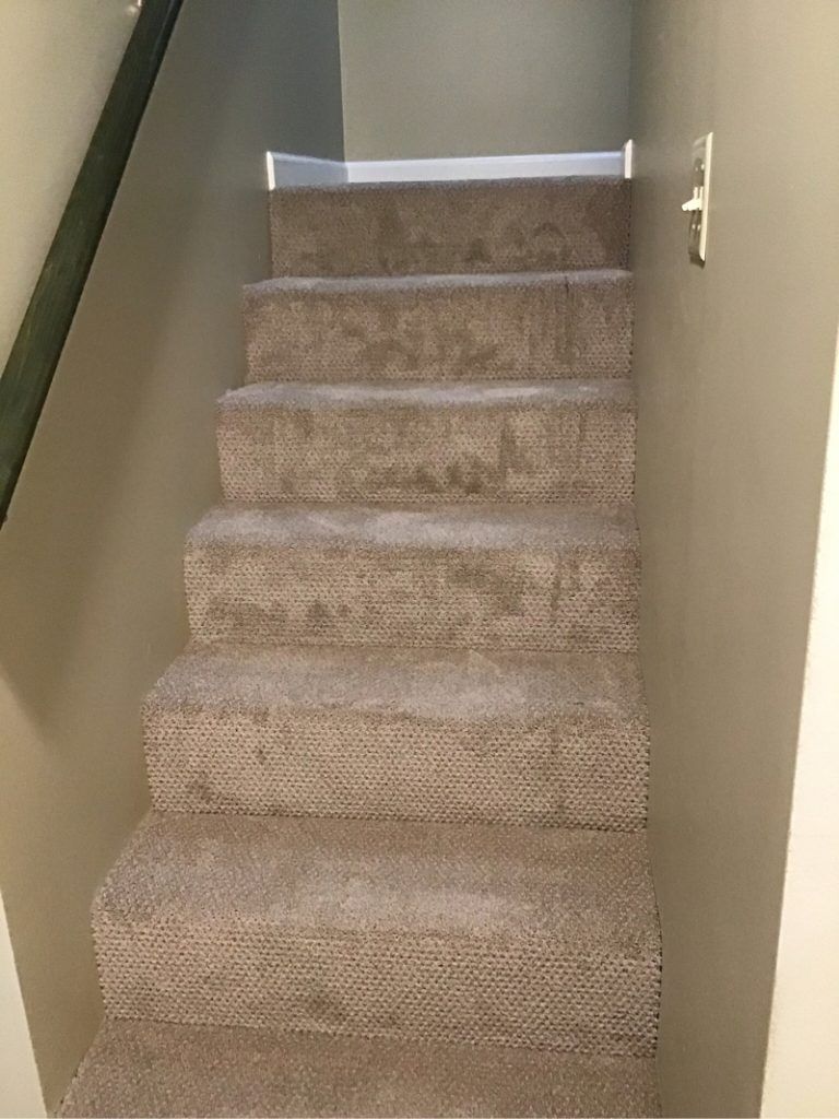 A set of carpeted stairs.