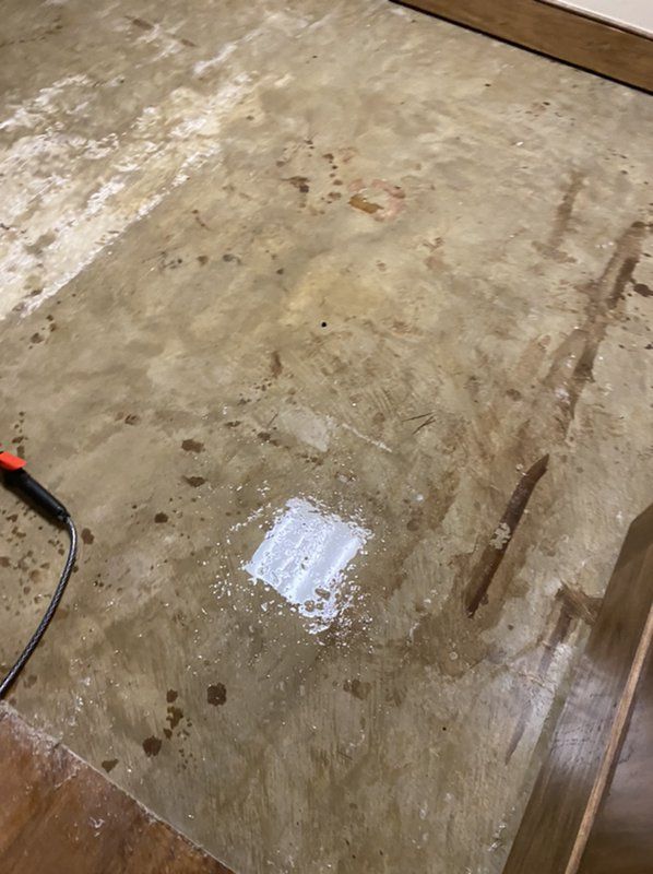 A picture of a floor with water that has been damaged by sewer backup. 