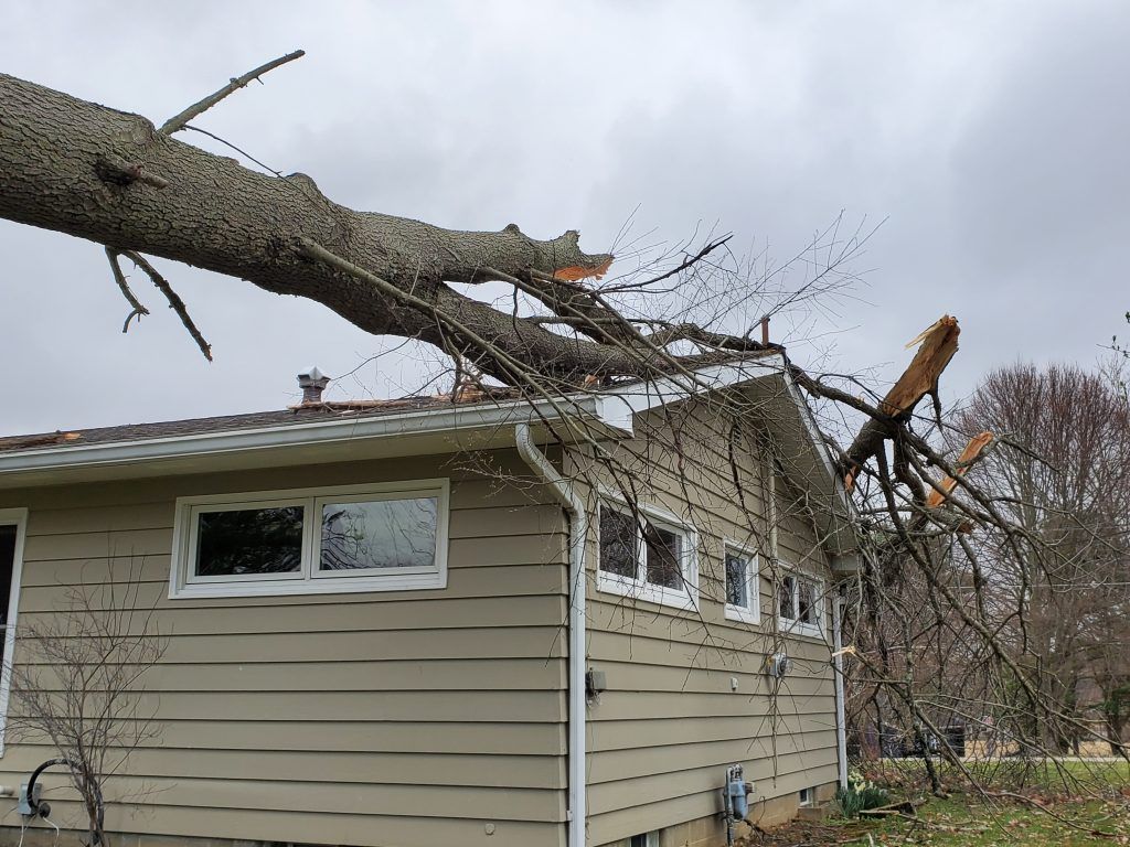 The big tree resting atop the roof the one story home.