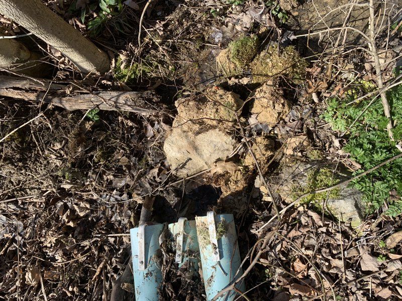 A person is digging in the dirt with a shovel.