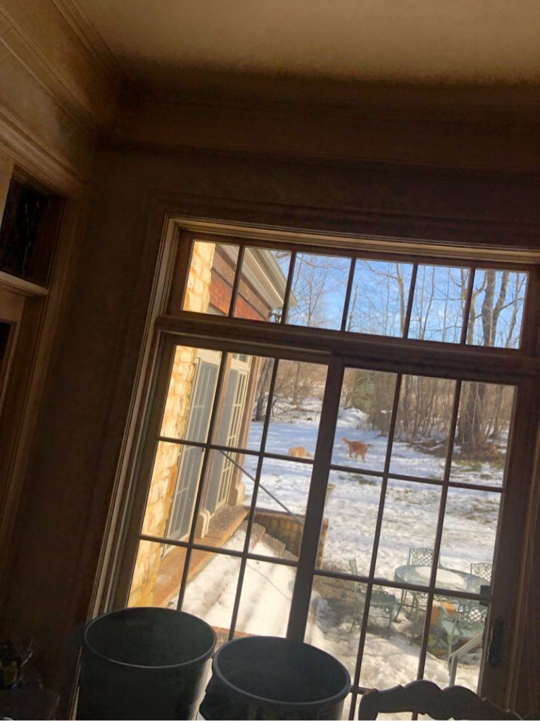 A window in a room with a view of a snowy yard and deer. 
