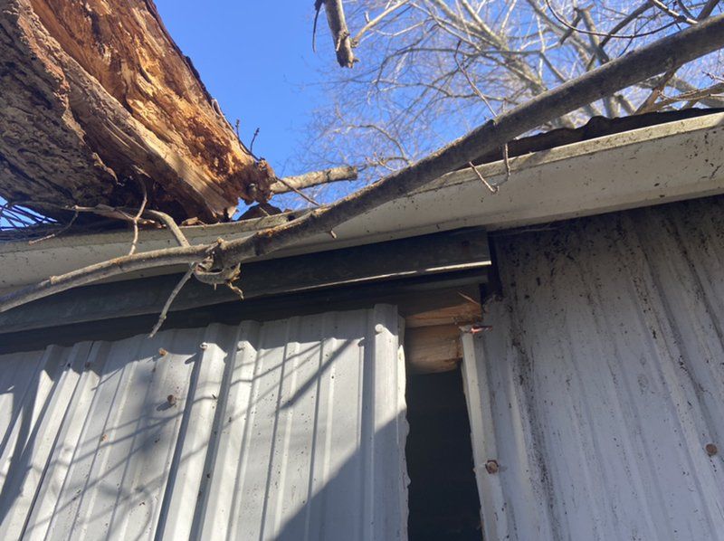 A tree has fallen on the roof of a building.