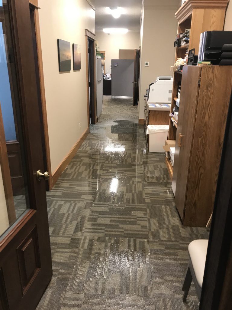 A carpeted floor flooded with water. 