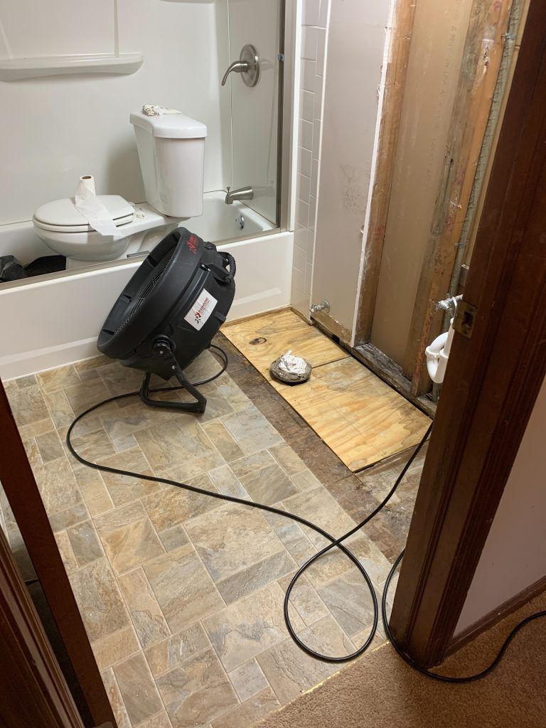 Fan in bathroom running to dry up the water that caused the mold damage.