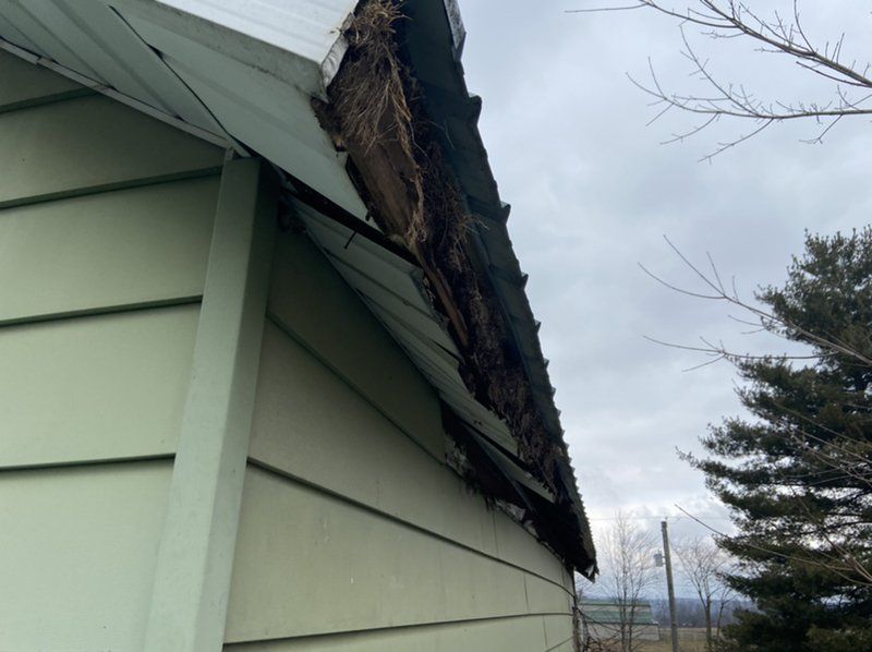 A green house with a roof that has been damaged from ice dam.