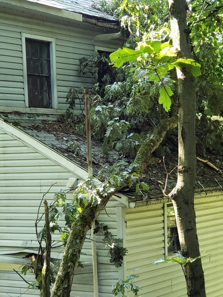 A tree has fallen on the roof of a house and damaged it. 