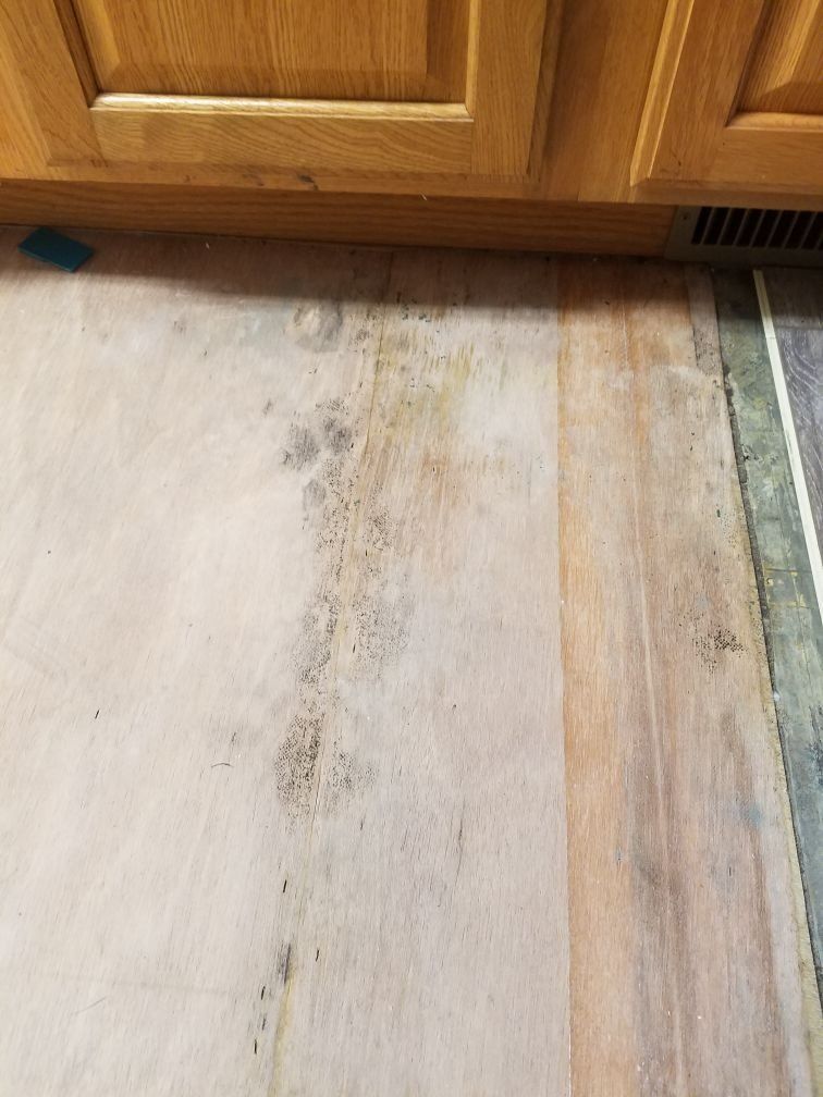 A kitchen floor with water damage. 