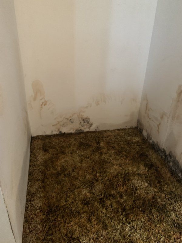 A dirty room with a carpeted floor and a white wall.