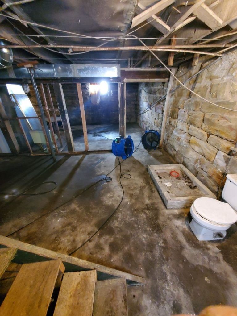 A basement with a toilet and a fan in it.