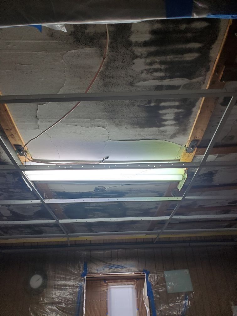 Mold in the rafters of the basement.