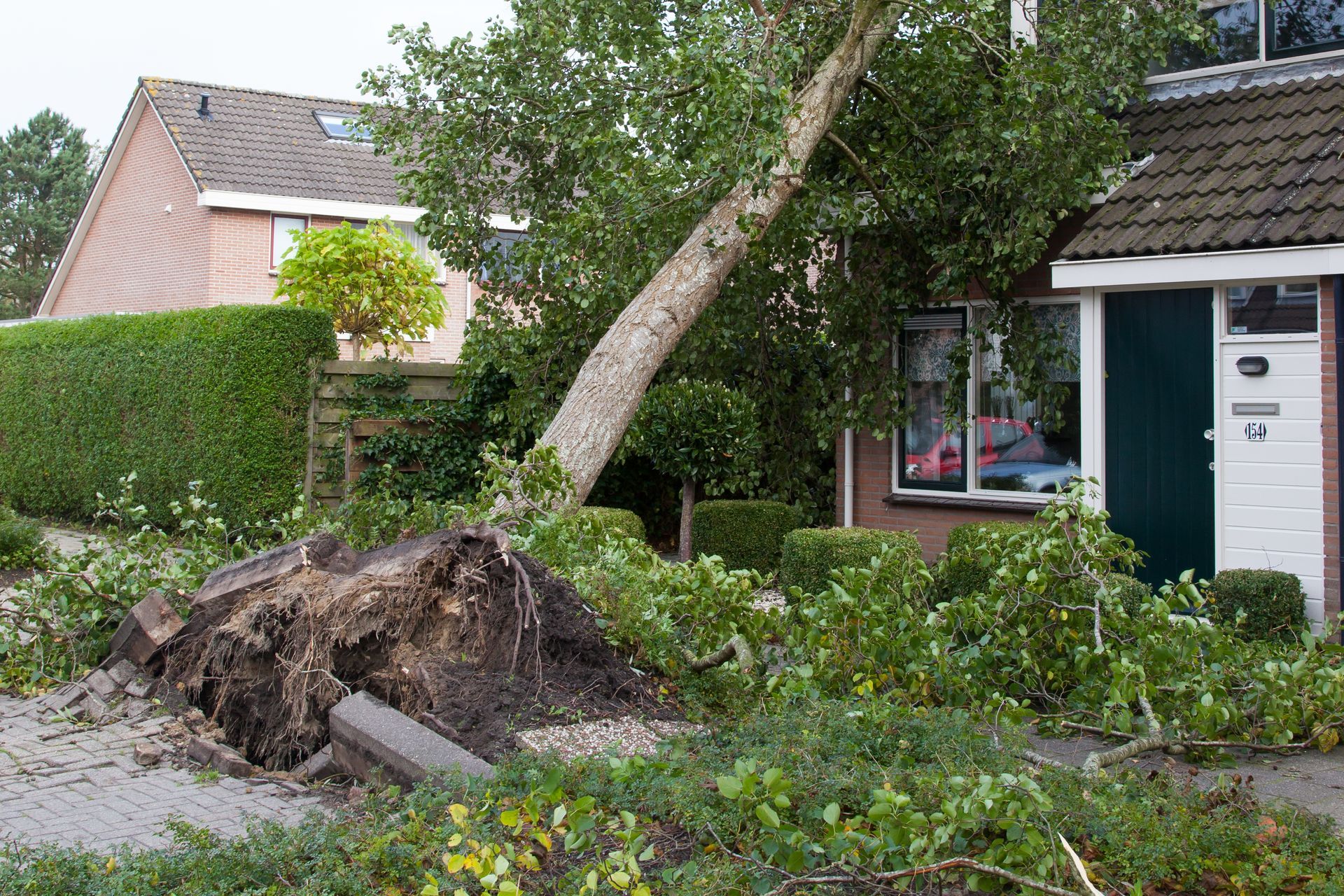 A tree that has fallen and is uprooted in front of a house.