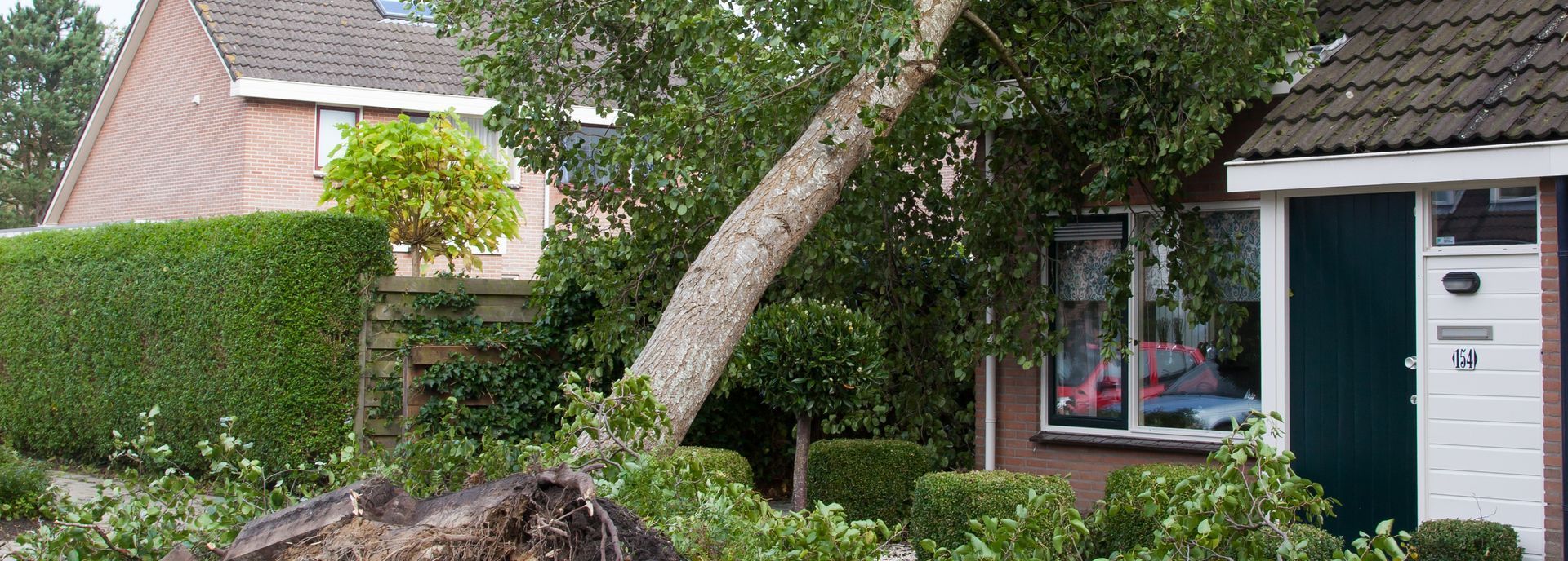 A tree that has fallen in front of a house.