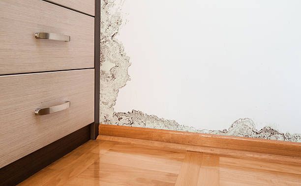 A room with a dresser and a wall with mold on it.