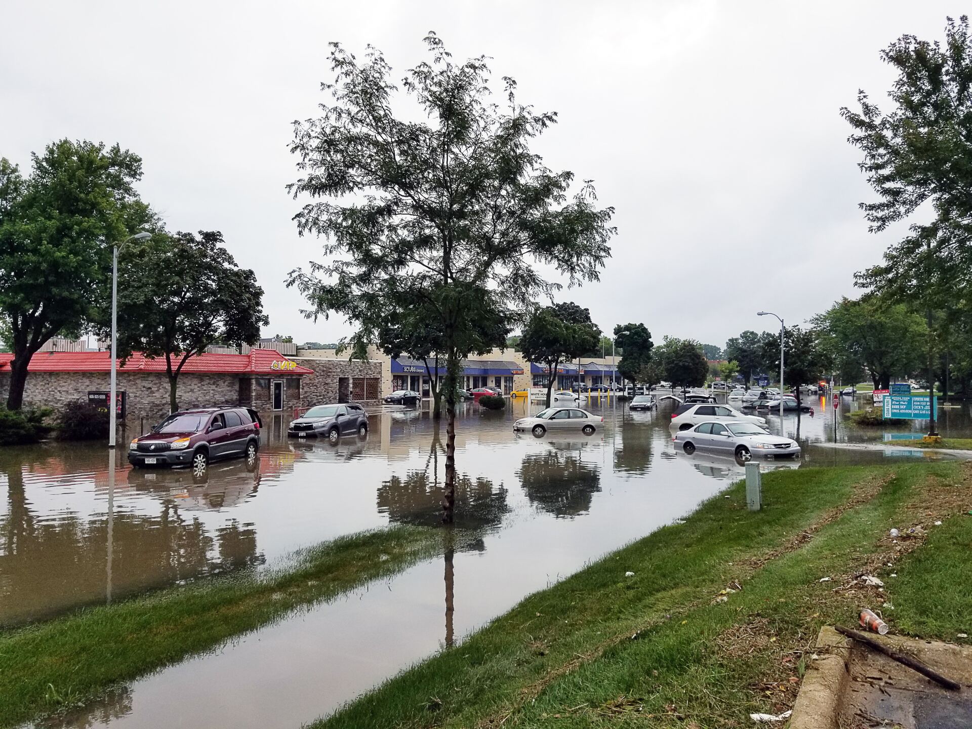 A flooded parking lot with cars and trees and broken down vehicles. 