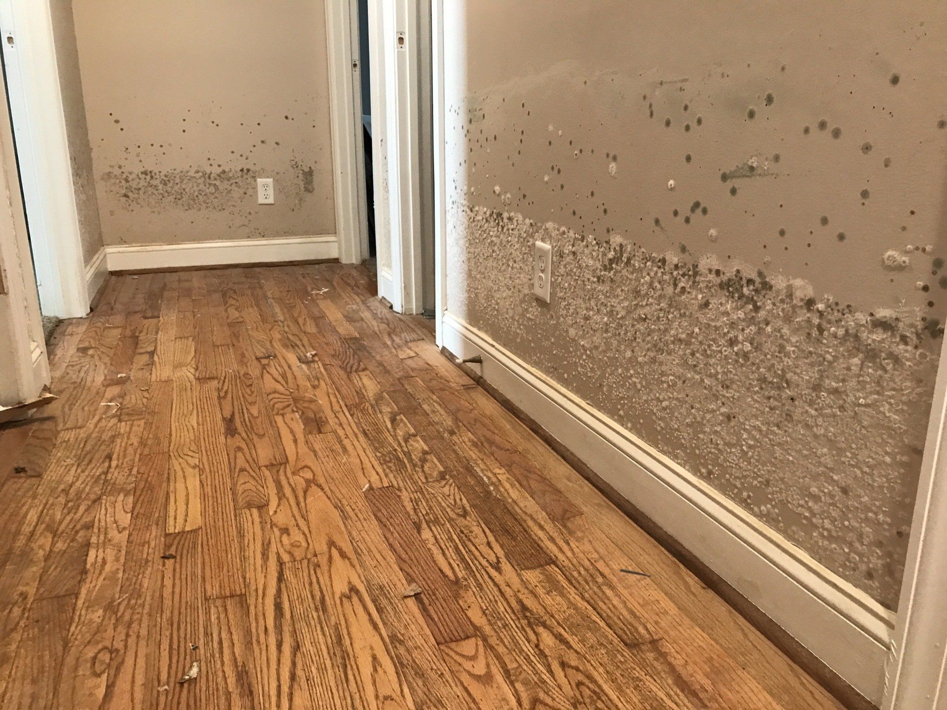 A hallway with wooden floors and water damage on the walls.