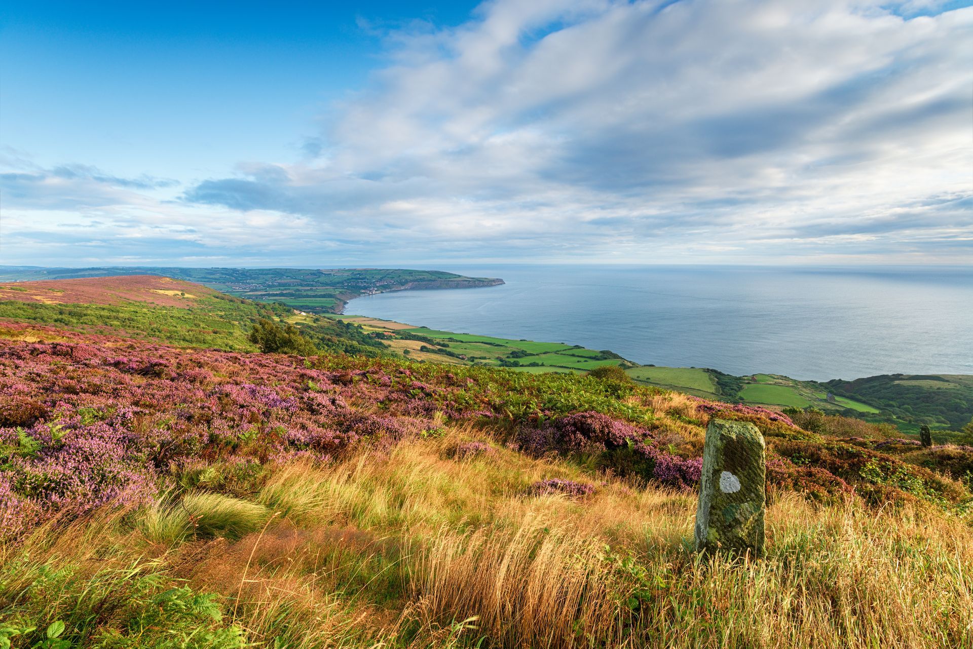Coastal vista with purple heather, green fields, and a calm sea under a partly cloudy sky.