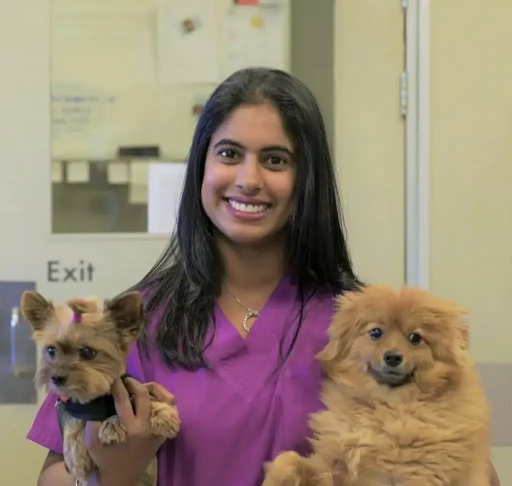 Woman in pink scrubs smiles holding two dogs.