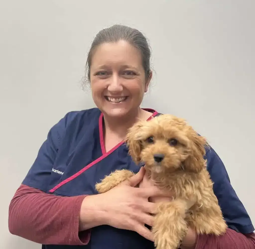 Woman in scrubs smiling, holding a small brown puppy. Plain white background.