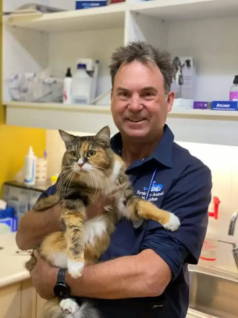 Man in blue shirt holding a calico cat in a veterinary setting.