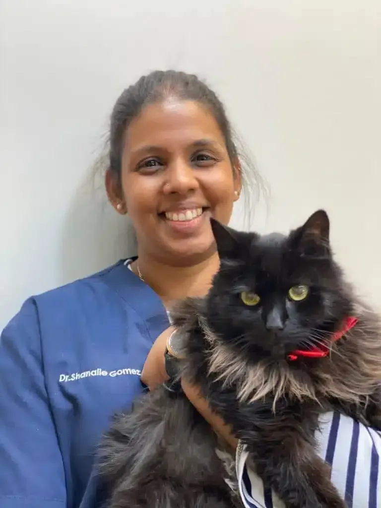 Woman in blue scrubs smiling, holding a black cat with a red collar.