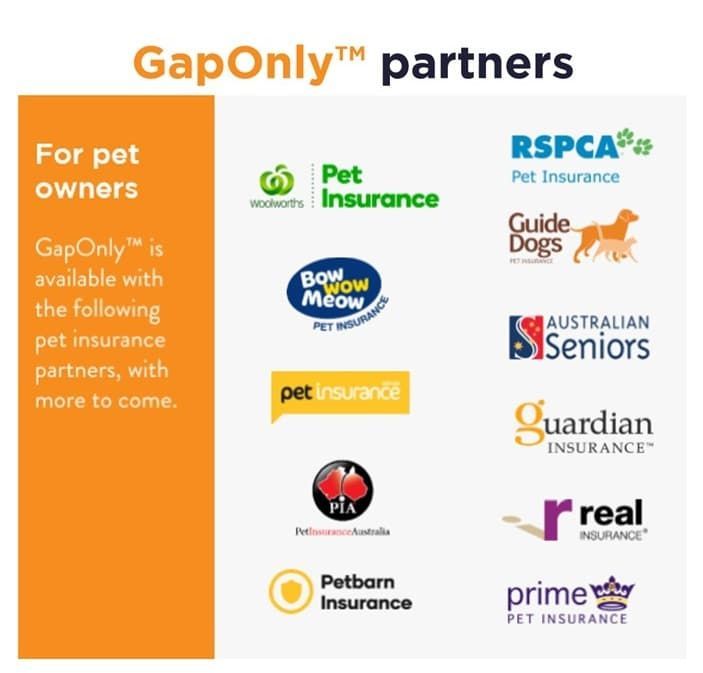 Logos of pet insurance partners, including RSPCA, Guide Dogs, and Petbarn, with text