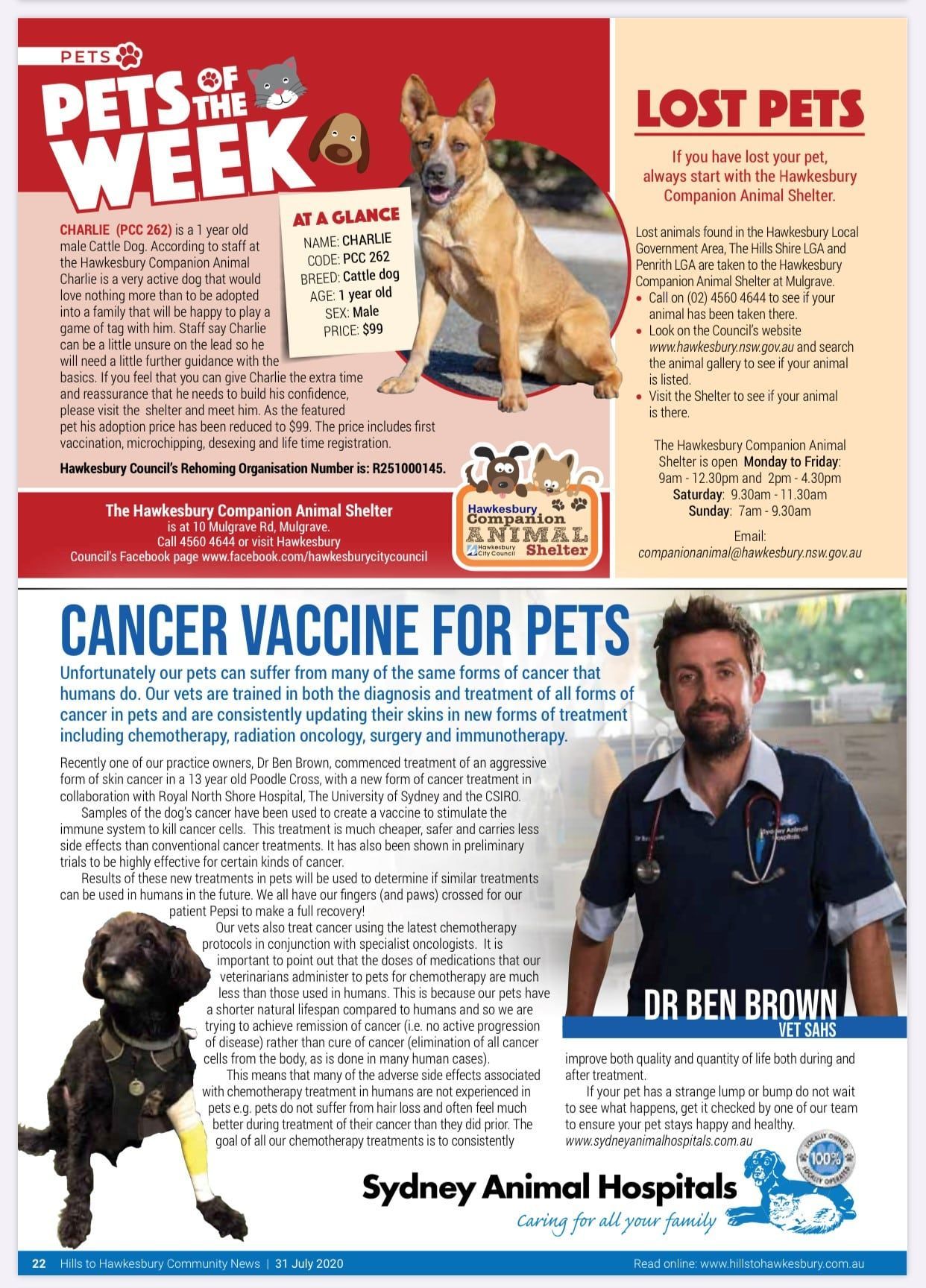 Pet ad: Dog, lost pet listings, vet Dr. Ben Brun with a cancer vaccine for pets.