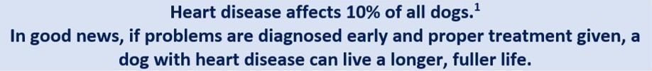 Text states 10% of dogs are affected by heart disease; early diagnosis and treatment can improve life.