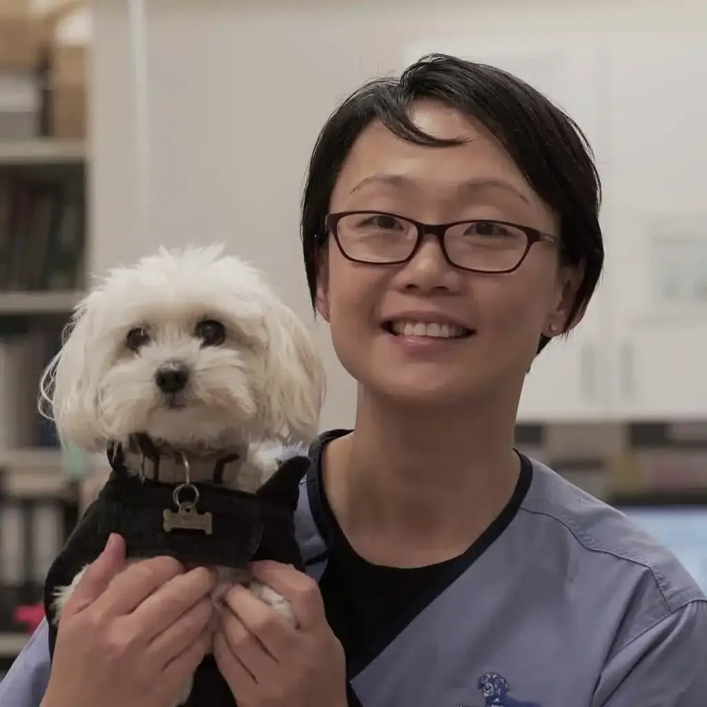 Woman in glasses and scrubs holding a small white dog; both smiling, in a veterinary setting.