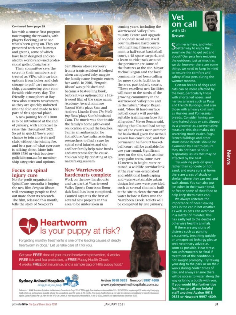 Ensure the comfort and safety of your pets in hot weather