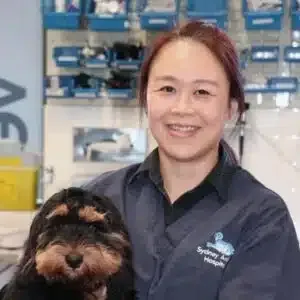 Woman in blue shirt holding a small dog in a veterinary clinic, smiling at the camera.