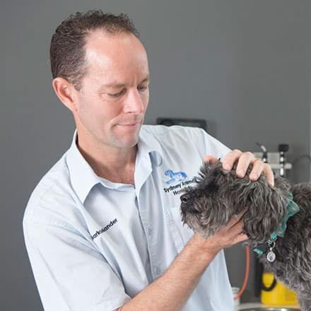 Kennel Cough