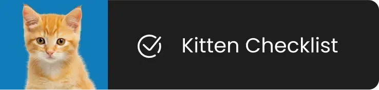 Orange kitten with a blue background, checklist icon, and text