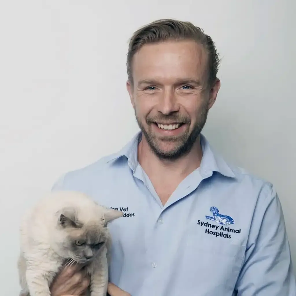 Man in blue shirt holding a light-colored cat, smiling, Sydney Animal Hospital logo.