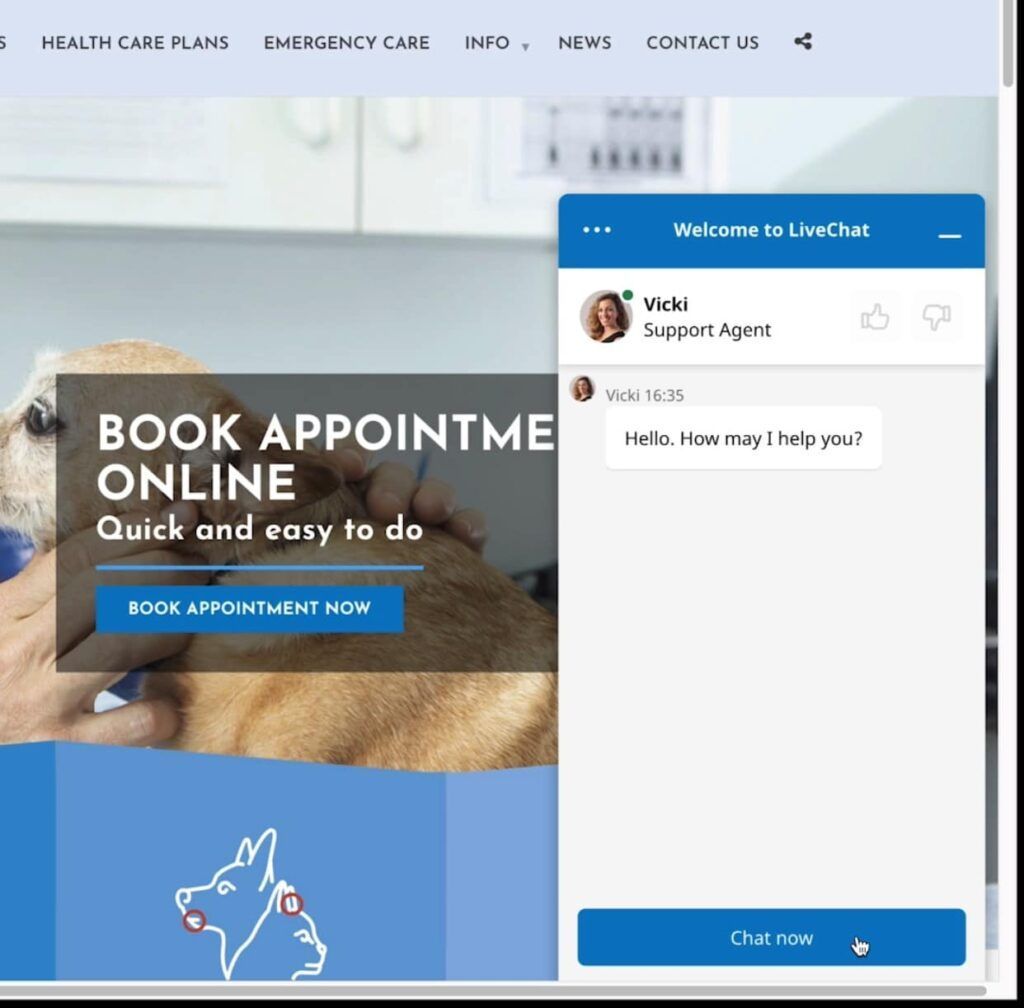 LIVE WEBCHAT SERVICE